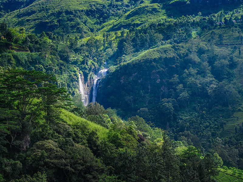 Nuwara Eliya